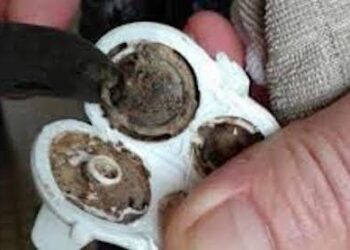 ქალი დიდი ხნის განმავლობაში ვერ ხვდებოდა, რატომ ავადმყოფობდა მისი შვილი.. სანამ შემთხვევით ეს არ დაინახა!