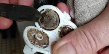 ქალი დიდი ხნის განმავლობაში ვერ ხვდებოდა, რატომ ავადმყოფობდა მისი შვილი.. სანამ შემთხვევით ეს არ დაინახა!