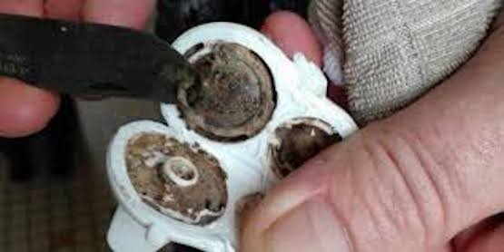 ქალი დიდი ხნის განმავლობაში ვერ ხვდებოდა, რატომ ავადმყოფობდა მისი შვილი.. სანამ შემთხვევით ეს არ დაინახა!