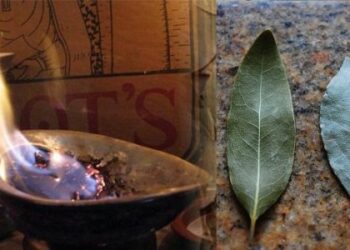 რატომ არის აუცილებელი სახლში დაფნის ფოთლის დაწვა