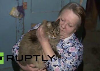 ქალი აფთიაქში წავიდა და სახლში აღარ დაბრუნებულა, მან 2 წლის სიცხიანი შვილი და კატა სახლში დატოვა – მოგვიანებით ბინაში მისული ბებია, ისეთი სურათის მომსწრე გახდა, რომ ატირდა