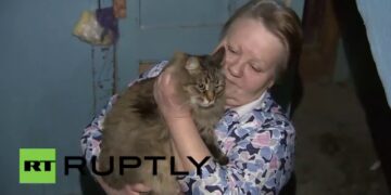 ქალი აფთიაქში წავიდა და სახლში აღარ დაბრუნებულა, მან 2 წლის სიცხიანი შვილი და კატა სახლში დატოვა – მოგვიანებით ბინაში მისული ბებია, ისეთი სურათის მომსწრე გახდა, რომ ატირდა