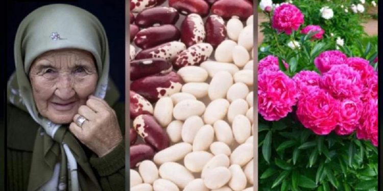 აფხაზი ბებიების უძველესი სიბრძნე – ცრუ რწმენაა თუ რეალობა?