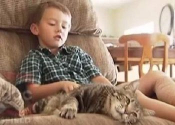 დედა აფთიაქში წავიდა და 2 წლის სიცხიანი შვილი სახლში მარტო დატოვა.. რამდენიმე საათში ბინაში ბებია მივიდა და ისეთი რამ დაიხანა ტირილი დაიწყო