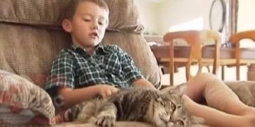 დედა აფთიაქში წავიდა და 2 წლის სიცხიანი შვილი სახლში მარტო დატოვა.. რამდენიმე საათში ბინაში ბებია მივიდა და ისეთი რამ დაიხანა ტირილი დაიწყო