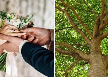 ბიჭმა ცოლი მოიყვანა.. იფიქრა საჩუქარს გავუკეთებო და საყილად წავიდა, უკან დაბრუნებულს შეშინებული ბაბუა ხეზე ასული დახვდა. ნახეთ რა გაუკეთებია ახალ რძალს