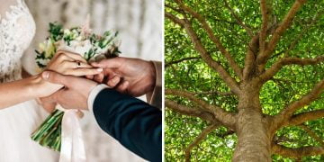 ბიჭმა ცოლი მოიყვანა.. იფიქრა საჩუქარს გავუკეთებო და საყილად წავიდა, უკან დაბრუნებულს შეშინებული ბაბუა ხეზე ასული დახვდა. ნახეთ რა გაუკეთებია ახალ რძალს