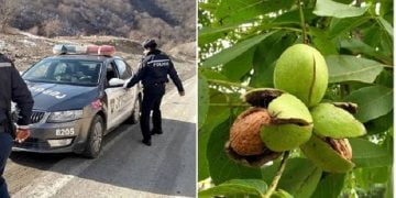 ცოლ-ქმარმა მანქანა გზის პირას გააჩერა და კაკლის ბერტყვა დაიწყეს, ხეზე ასული ქმარი მოულოდნელად გაქრა.. ატყდა ერთი ამბავი, რამდენიმე ხანში კი ცოლის ტელეფონზე ზარი გაისმა