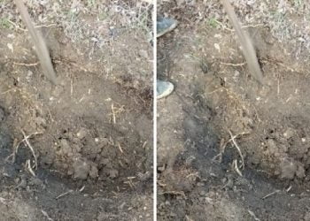 კახეთში დედამ მშობიარობისას დაღუპული ჩვილის საფლავი გახსნა – იქ ნანახმა ყველა შოკში ჩააგდო