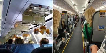 „მოკლედ თვინთმფრინავი ჰაერში ტრიალებდა და დაშვებას ვერაფრით ვერ ახერხებდა. მეგონა მოვკვდებოდი, უცებ ტელეფონი ავიღე და…