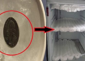 სახლიდან გასვლისას აუცილებლად დატოვეთ საყინულეში მონეტა და როცა დაბრუნებით დააკვირდით რა მოხდება – ეს მარტივი ხრიკი ყველა დიასახლისმა უნდა იცოდეს