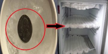 სახლიდან გასვლისას აუცილებლად დატოვეთ საყინულეში მონეტა და როცა დაბრუნებით დააკვირდით რა მოხდება – ეს მარტივი ხრიკი ყველა დიასახლისმა უნდა იცოდეს