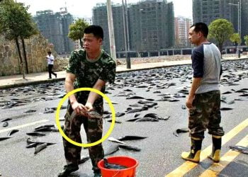 თევზების წვიმა – დაუჯერებელი მოვლენები დედამიწაზე, რომლებიც კამერებს რომ არ გადაეღო არ დაიჯერებდით