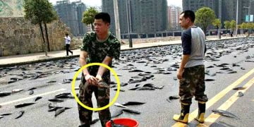 თევზების წვიმა – დაუჯერებელი მოვლენები დედამიწაზე, რომლებიც კამერებს რომ არ გადაეღო არ დაიჯერებდით