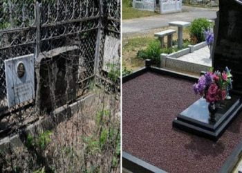 მამაკაცმა ბინა ლომბარდში ჩადო რათა სოფლიდან საკუთარი დედ-მამა და ბებია-ბაბუა თბილისში იმის გამო გადმოესვენებინა რომ.. – მიზეზი გაგაოგნებთ..