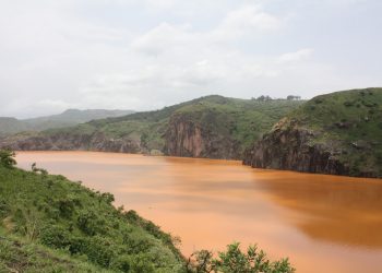 როგორ შეიწირა ე.წ. მკვლელმა ტმამ ერთ ღამეში 2000-მდე ადამიანი