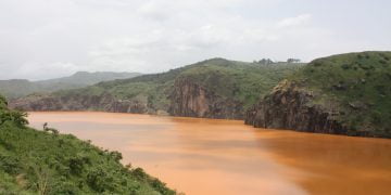 როგორ შეიწირა ე.წ. მკვლელმა ტმამ ერთ ღამეში 2000-მდე ადამიანი