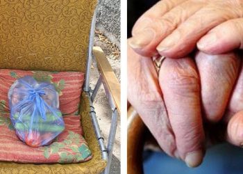 ჩემს დატოვებულ ლობიანსა და ქაბაბზე დამპატიჟა.. მითხრა ვიღაც ღვთის კალთიდან გადმოვარდნილი ყოველ დილით “საკურთხს” მიტოვებს, მოდი დამეწვიეო.. კარგად ვერ დავინახე ვინაა, საიდან მოდის და საით მიდისო…