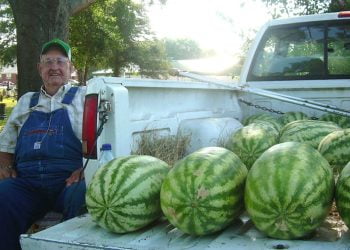 რას აკეთებს მოხუცი ისეთს, რომ ყველა მყიდველი ერთის ნაცვლად სამ საზამთროს ყიდულობს – კრეატიული მარკეტინგი