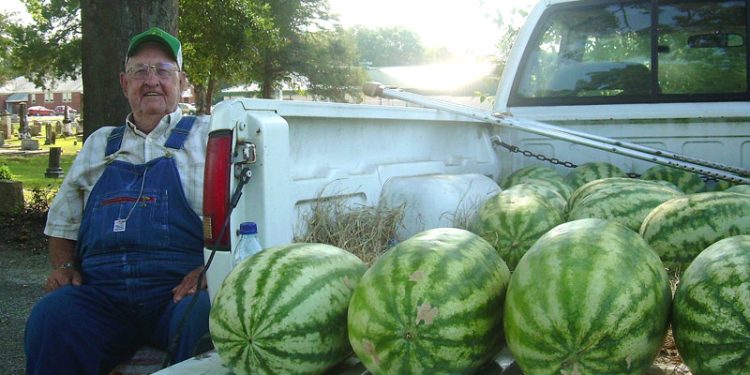 რას აკეთებს მოხუცი ისეთს, რომ ყველა მყიდველი ერთის ნაცვლად სამ საზამთროს ყიდულობს – კრეატიული მარკეტინგი