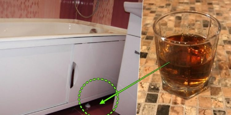 ცოლი ყოველთვის ტოვებდა საკვებს და კონიაკს მოჩვენებისთვის აბაზანის ქვეშ – მაგრამ ქმარი არ უჯერებდა მას ერთ შემთხვევამდე..