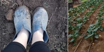 „სოფელში ცხოვრებამ სრულიად სხვა ქალად მაქცია, ყველა ჩემი ოცნებები ჩაკლა…