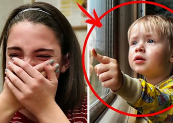 თავხედმა ქალბატონმა ბიჭუნას მამას, რომელიც მას კითხვებს უსვამდა უთხრა დაეწყნარებინა მისი „გონება ჩამორჩენილი“ შვილი, მამაკაცის პასუხმა მთელი ვაგონი აატირა