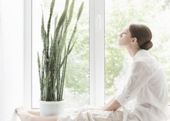 ოთახის 9 მცენარე, რომელიც მარტივად დაგეხმარებათ სწრაფად დაძინებაში