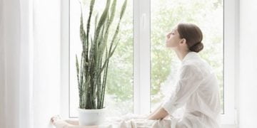 ოთახის 9 მცენარე, რომელიც მარტივად დაგეხმარებათ სწრაფად დაძინებაში