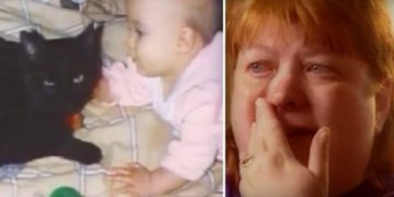 დედას თავისი ქალიშვილის ოთახიდან განგმირავი ყვირილი შემოესმა. იქ შესული ქალი კი ადგილზე გაქვავდა