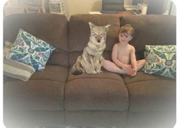 „საყვარელო, ნახე უპატრონო ძაღლი ვიპოვე და სახლში მოვიყვანე..“ – ცოლის მიმოწერა ქმართან, რომელიც ინტერნეტში გავრცელდა და ძაღლი, რომელიც ძაღლი არ აღმოჩნდა..