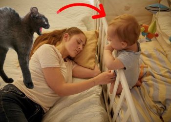 მათ მემკვიდრეობით სახლი მიიღეს, თუმცა იქ ჩასულებს წარმოუდგენელი რამ ელოდათ. ეს პირველივე ღამესდაიწყო