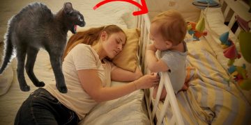 მათ მემკვიდრეობით სახლი მიიღეს, თუმცა იქ ჩასულებს წარმოუდგენელი რამ ელოდათ. ეს პირველივე ღამესდაიწყო