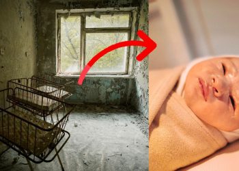 ავადმყოფი ბავშვი ნაგავსაყრელზე იპოვეს -თუმცა დღეს მას ვეღარ იცნობთ! ისტორია, რომელიც შოკში ჩაგაგდებთ