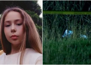 საკვების გადაცდენა, თუ მკვლელობა – ცნობილი ხდება დიდ დიღომში დატრიალებული ტრაგედიის ახალი დეტალები