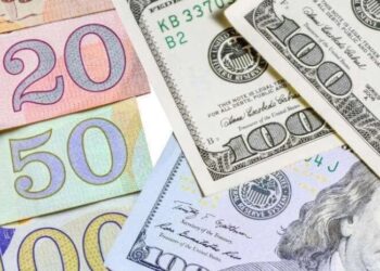 ვალუტის კურსი შეიცვალა! – რამდენ ლარად შეიძენთ დოლარს და ევროს?