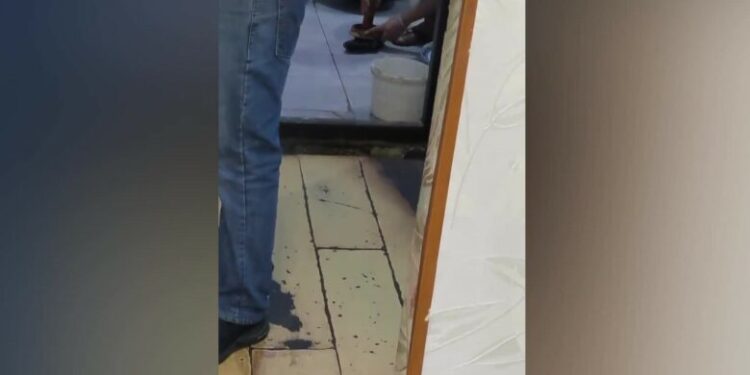 ,,ეს კვების ობიექტი საკურიეროზე მუშაობდა… არ ვიცი, რამდენად უნდა დამედო ეს ვიდეო, მაგრამ მაინც იცოდეთ” – რა კადრებს აქვეყნებს მოქალაქე სოციალურ ქსელში?