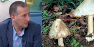 „ბოლო კვირაში, სოკოთი მოწამვლის ეპიდაფეთქებაა“ – ტოქსიკოლოგის რეკომენდაცია