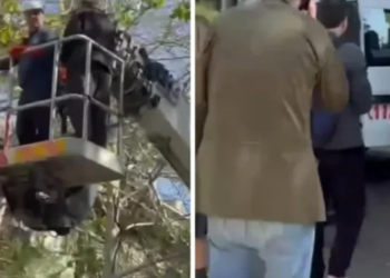 (video) ,,მაშველებმა გადაარჩინეს” – რა მოხდა ბარნოვის ქუჩაზე? – ვრცელდება ემოციური კადრები