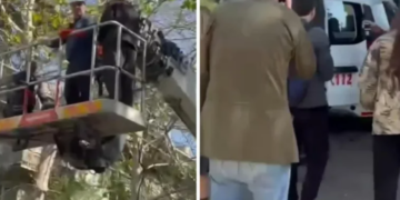 (video) ,,მაშველებმა გადაარჩინეს” – რა მოხდა ბარნოვის ქუჩაზე? – ვრცელდება ემოციური კადრები