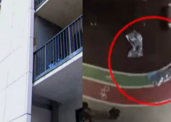 ,,ამან დამაეჭვა… არანორმალური სისწრაფით ჩავედი ეზოში, მივედი ცხედრებთან, მამაკაცი სასწრაფოს მოსვლამდე ცოცხალი იყო” – რას ჰყვება მეზობელი, რომელიც ისანში, ტრაგედიის ადგილზე ერთ-ერთი პირველი მივიდა?