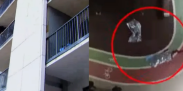 ,,ამან დამაეჭვა… არანორმალური სისწრაფით ჩავედი ეზოში, მივედი ცხედრებთან, მამაკაცი სასწრაფოს მოსვლამდე ცოცხალი იყო” – რას ჰყვება მეზობელი, რომელიც ისანში, ტრაგედიის ადგილზე ერთ-ერთი პირველი მივიდა?