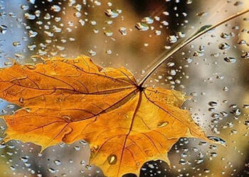 სინოპტიკოსები დღეს მოსალოდნელი ამინდის შესახებ ახალ ინფორმაციას ავრცელებენ