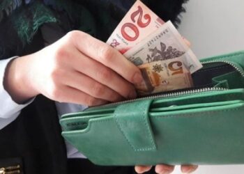 ცნობილია, ვის გაეზრდება ხელფასები ახალი წლიდან