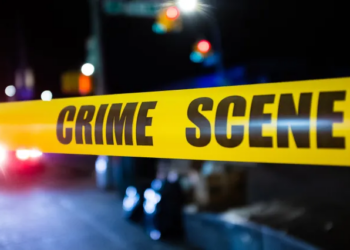 12 წლის გოგონამ ბაბუა მოკლა – სასტიკი მკვლელობის დეტალები