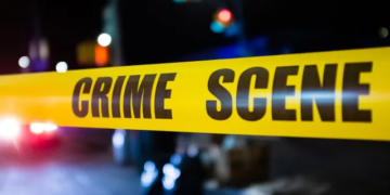 12 წლის გოგონამ ბაბუა მოკლა – სასტიკი მკვლელობის დეტალები