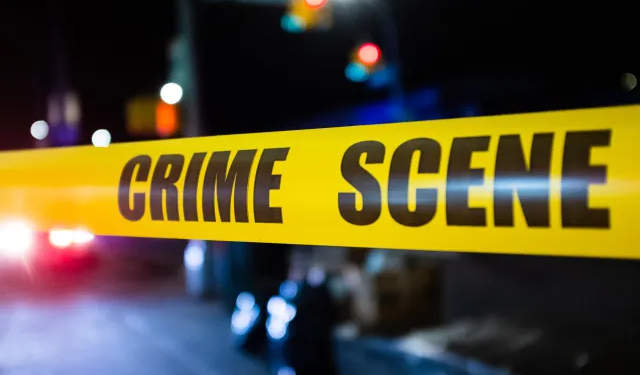 12 წლის გოგონამ ბაბუა მოკლა – სასტიკი მკვლელობის დეტალები