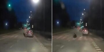 🎥 ,,სასწაულებრივად გადარჩა! და ვიღაცები კიდევ მძღოლს აბრალაბენ“ – ნახეთ, რა საოცარი რეაქცია გამოავლინა მძღოლმა, რომ ტრაგედია აერიდებინა