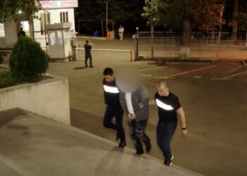 ,,სექსუალური ხასიათის ქმედება ჩაიდინა 14 წელს მიუღწეველი გერისა და ამავე ასაკის სტუმრად მყოფი ნათესავის მიმართაც- საზარელი დანაშაული