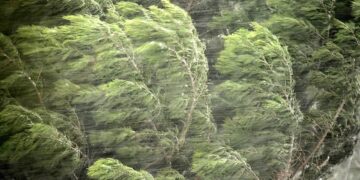 ,,ძლიერი წვიმა, ქარი, ელჭექი და ზღვაზე 4-5 ბალიანი შტორმი” – რომელ რიცხვში გაუარედება ამინდი?